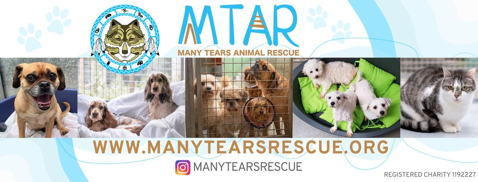 Many tears animal rescue